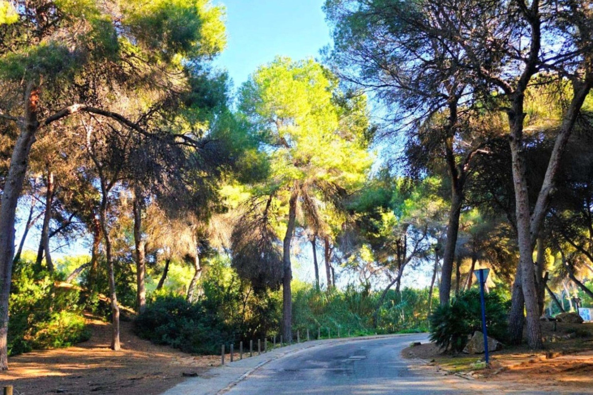 Wiederverkauf - Villa - Orihuela - Campoamor