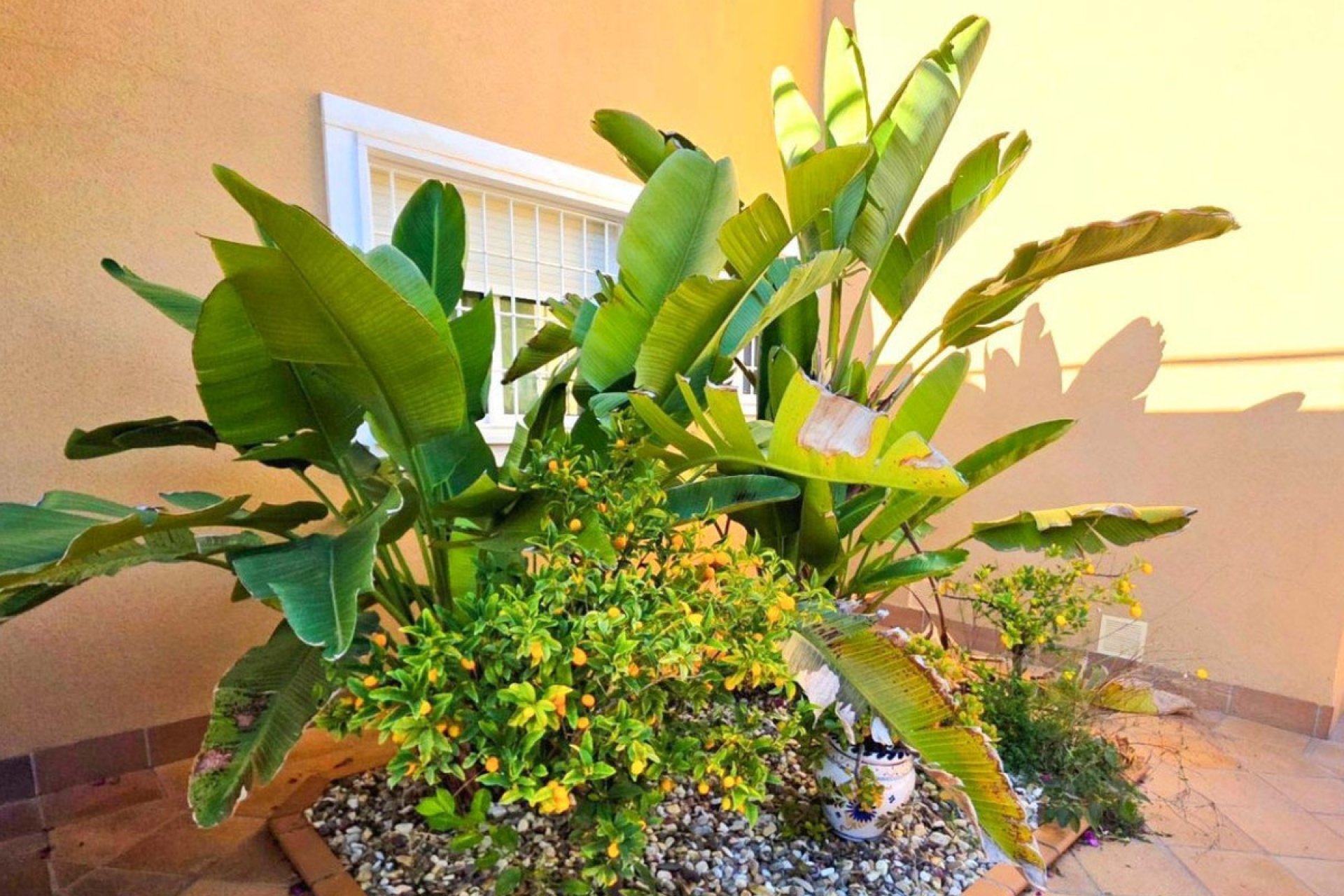Wiederverkauf - Villa - Orihuela - Campoamor