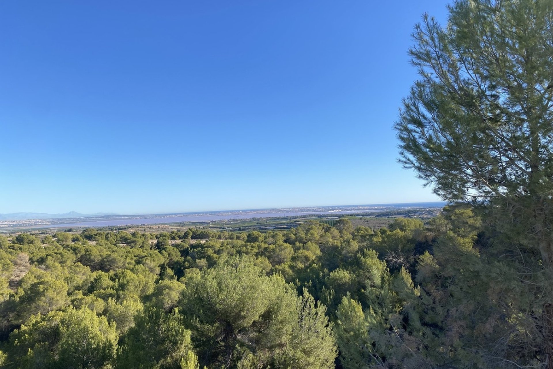 Wiederverkauf - Villa - Orihuela - Dehesa de Campoamor