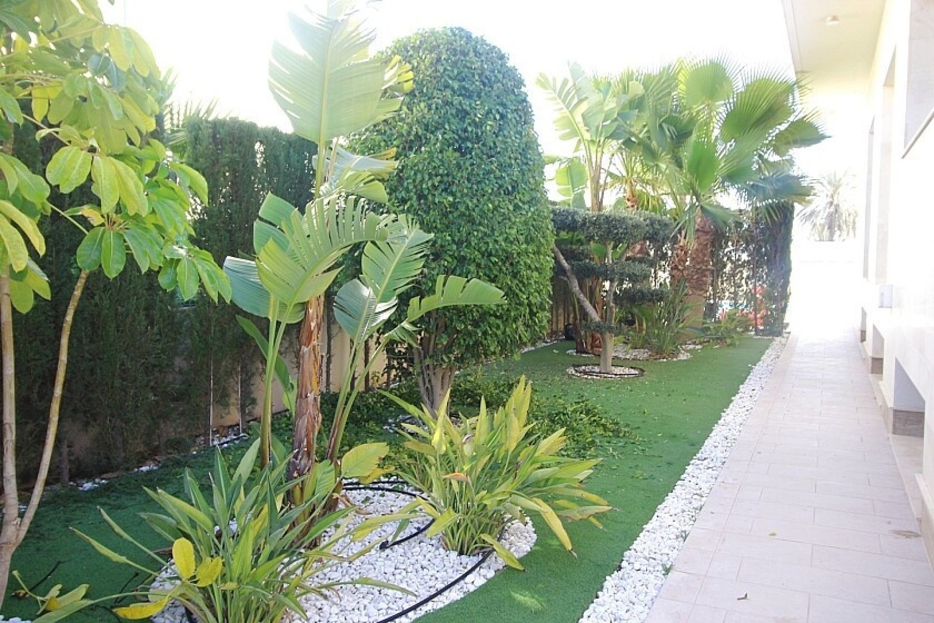 Wiederverkauf - Villa - Orihuela - La Zenia