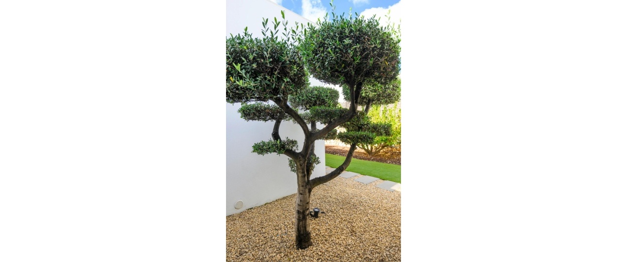 Wiederverkauf - Villa - Orihuela - Las Colinas Golf