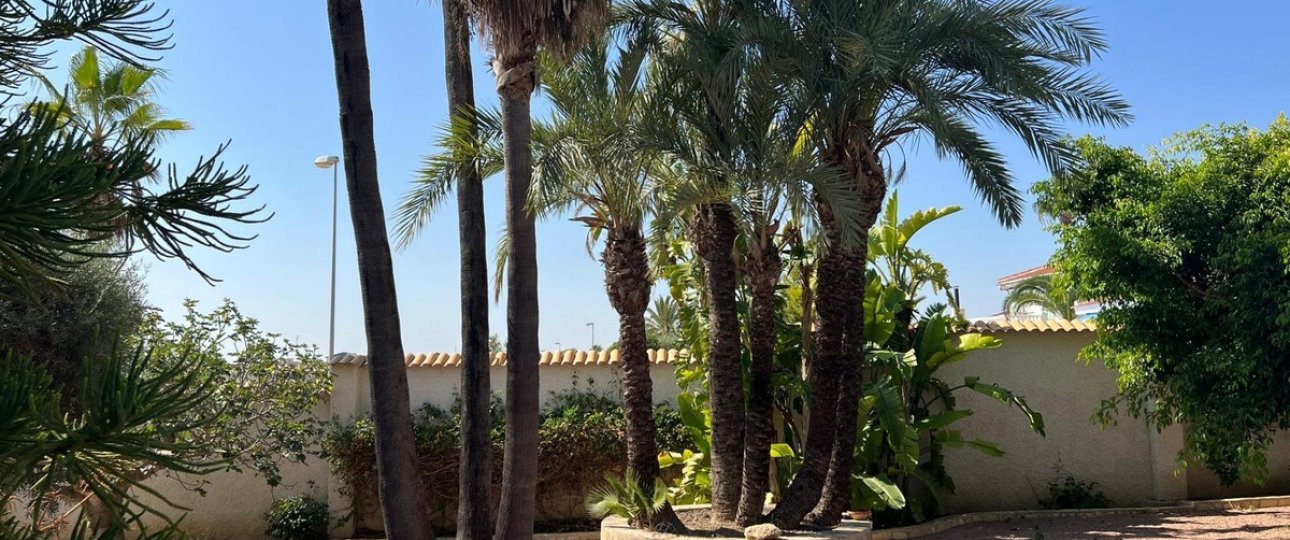 Wiederverkauf - Villa - Rojales - Ciudad Quesada