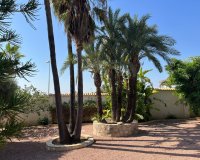 Wiederverkauf - Villa - Rojales - Ciudad Quesada