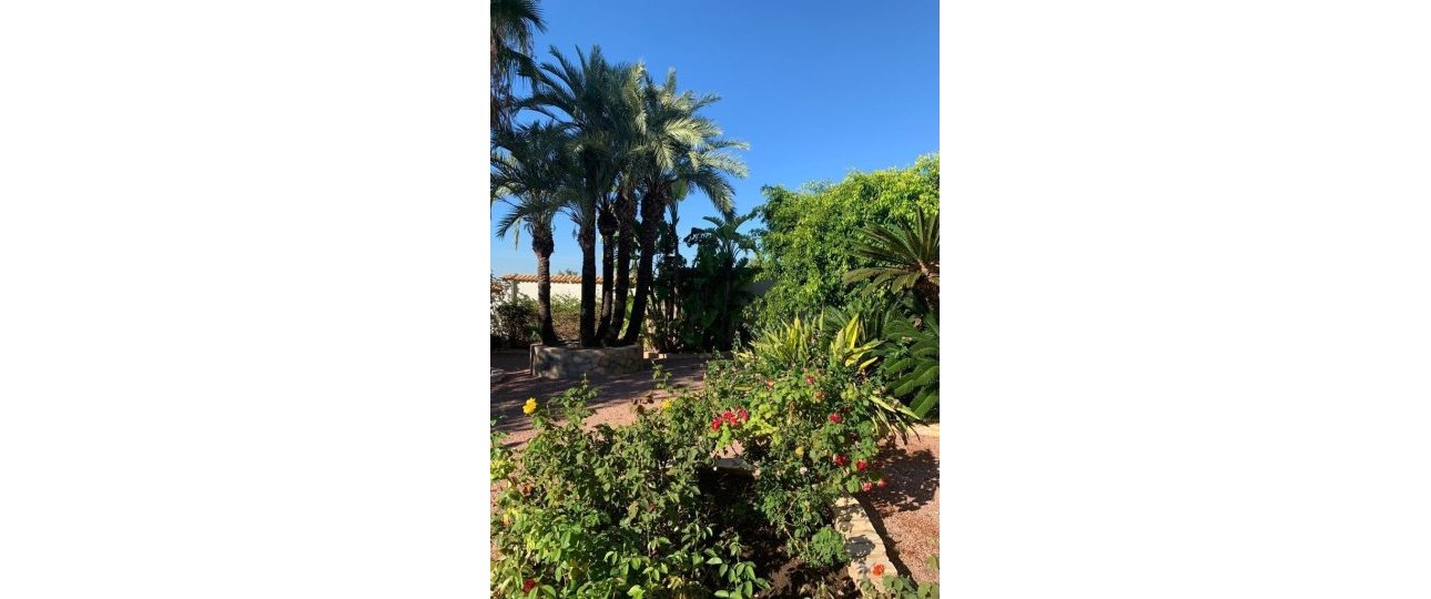 Wiederverkauf - Villa - Rojales - Ciudad Quesada