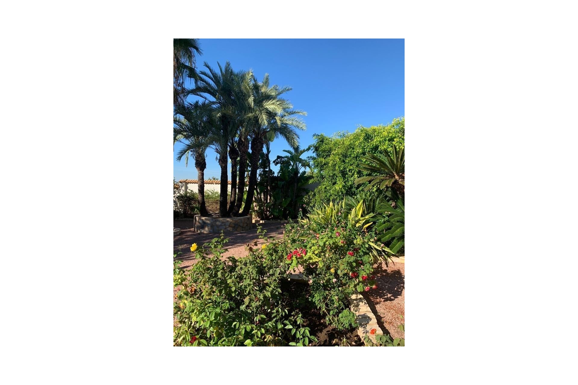 Wiederverkauf - Villa - Rojales - Ciudad Quesada