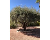 Wiederverkauf - Villa - Rojales - Ciudad Quesada